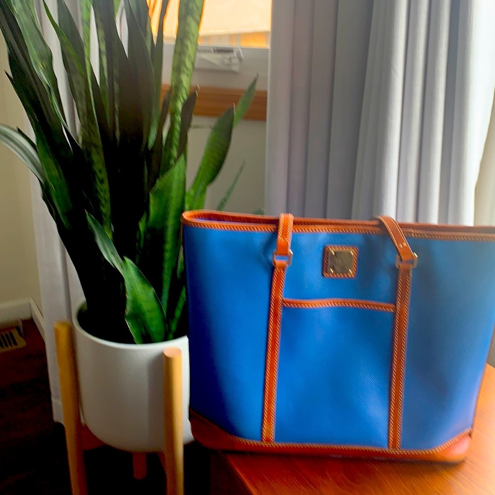 Dooney and Bourke purse!  Great color! Like new!